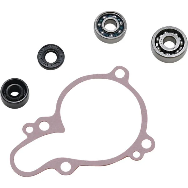Kit reparación bomba de agua HOT RODS /09320253/