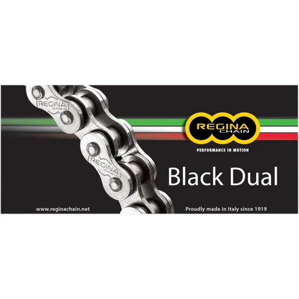 520 ZRA Series Chain Regina /12240181/